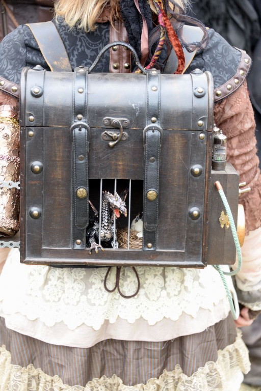../Images/Castlefest 2017 zaterdag 160.jpg